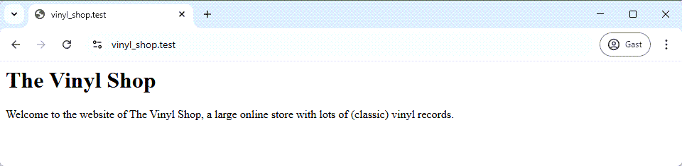 Vinyl Shop new home page