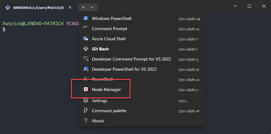Windows Terminal Node Manager Profile